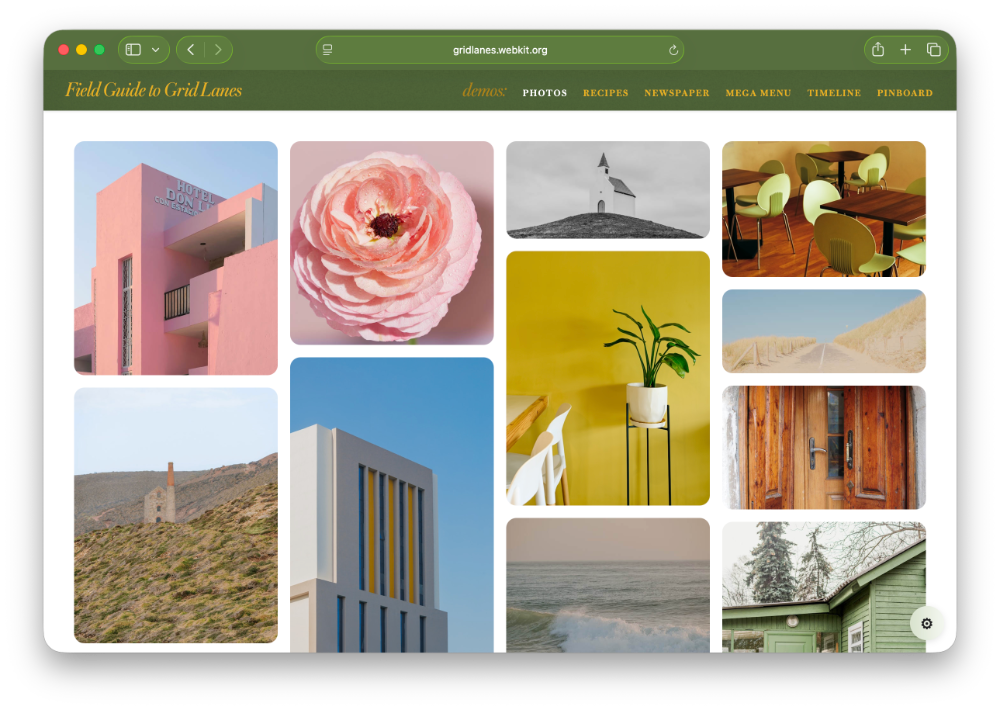 Layout of 50 photos in a gallery