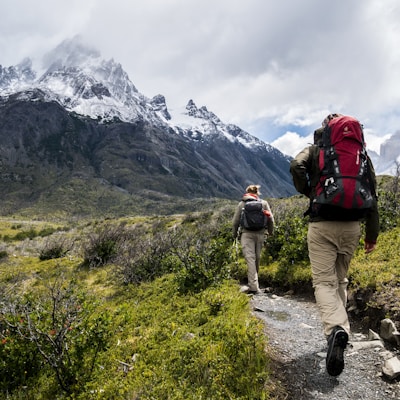 Carbon Trekking Poles